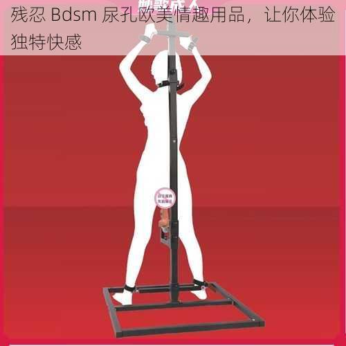 残忍 Bdsm 尿孔欧美情趣用品，让你体验独特快感