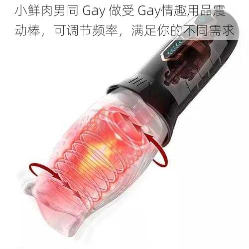 小鲜肉男同 Gay 做受 Gay情趣用品震动棒，可调节频率，满足你的不同需求