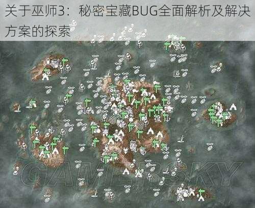 关于巫师3：秘密宝藏BUG全面解析及解决方案的探索