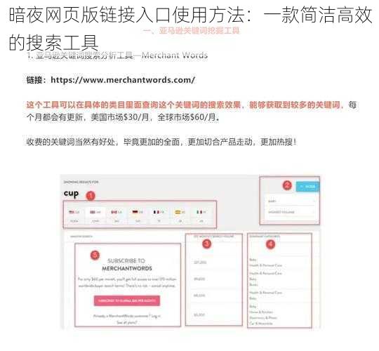 暗夜网页版链接入口使用方法：一款简洁高效的搜索工具