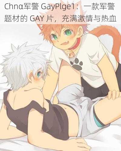 Chnα军警 GayPlge1：一款军警题材的 GAY 片，充满激情与热血