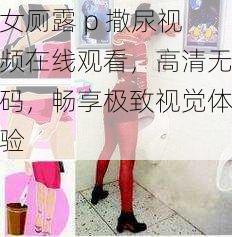 女厕露 p 撒尿视频在线观看，高清无码，畅享极致视觉体验