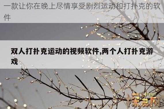 一款让你在晚上尽情享受剧烈运动和打扑克的软件