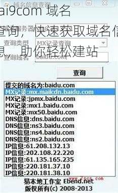 tai9com 域名查询，快速获取域名信息，助你轻松建站