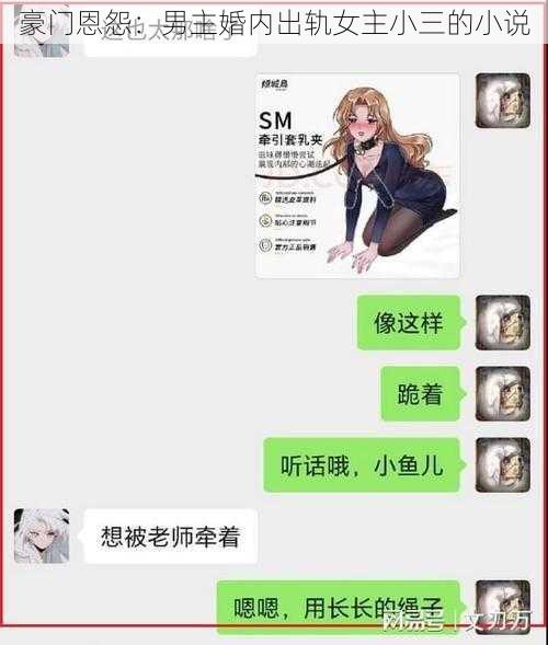 豪门恩怨：男主婚内出轨女主小三的小说