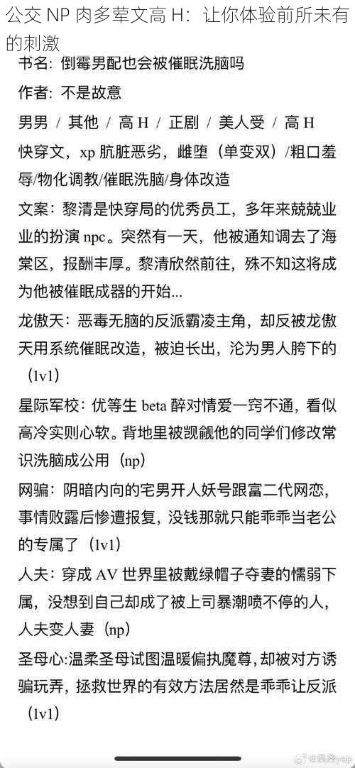 公交 NP 肉多荤文高 H：让你体验前所未有的刺激