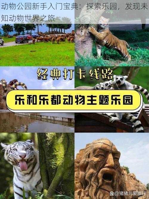 动物公园新手入门宝典：探索乐园，发现未知动物世界之旅