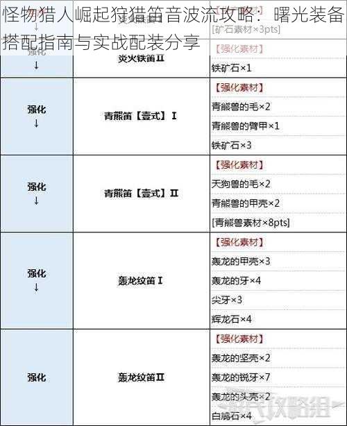 怪物猎人崛起狩猎笛音波流攻略：曙光装备搭配指南与实战配装分享