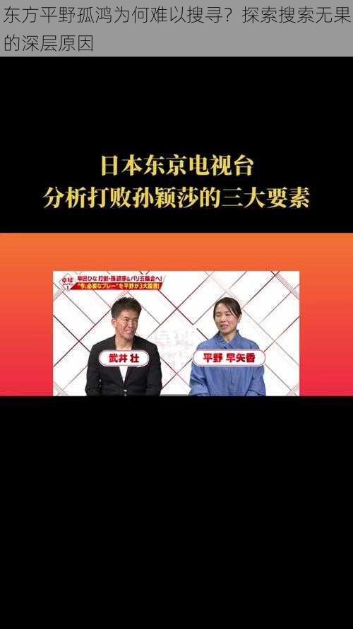 东方平野孤鸿为何难以搜寻？探索搜索无果的深层原因