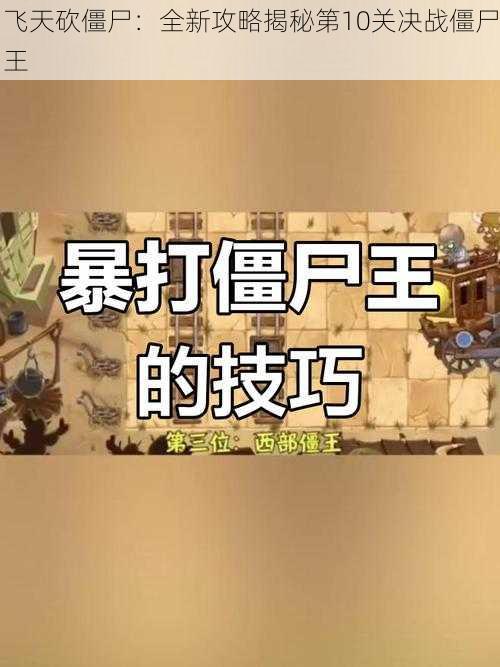 飞天砍僵尸：全新攻略揭秘第10关决战僵尸王