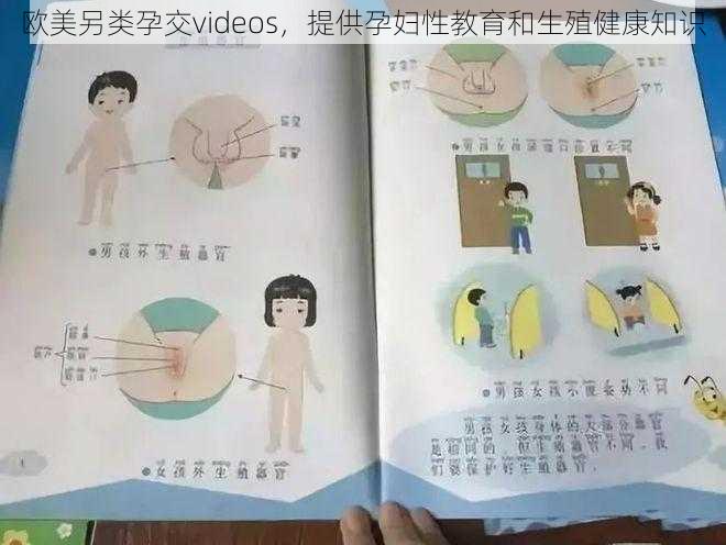 欧美另类孕交videos，提供孕妇性教育和生殖健康知识