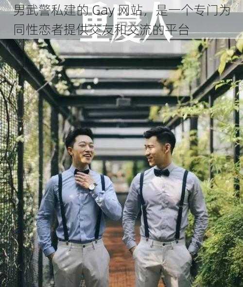 男武警私建的 Gay 网站，是一个专门为同性恋者提供交友和交流的平台