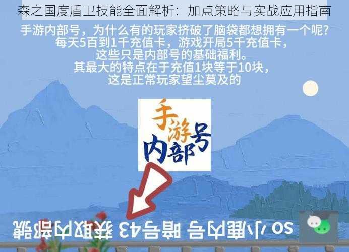 森之国度盾卫技能全面解析：加点策略与实战应用指南