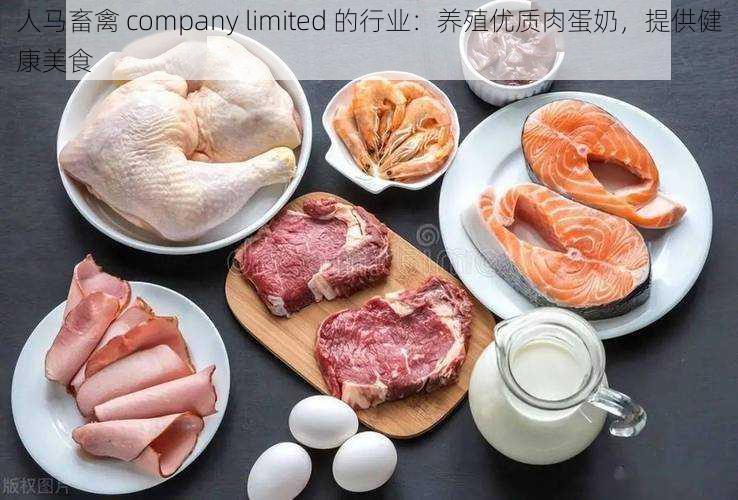 人马畜禽 company limited 的行业：养殖优质肉蛋奶，提供健康美食