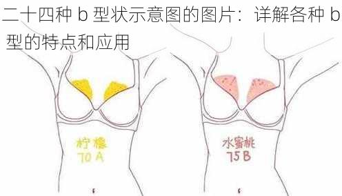 二十四种 b 型状示意图的图片：详解各种 b 型的特点和应用