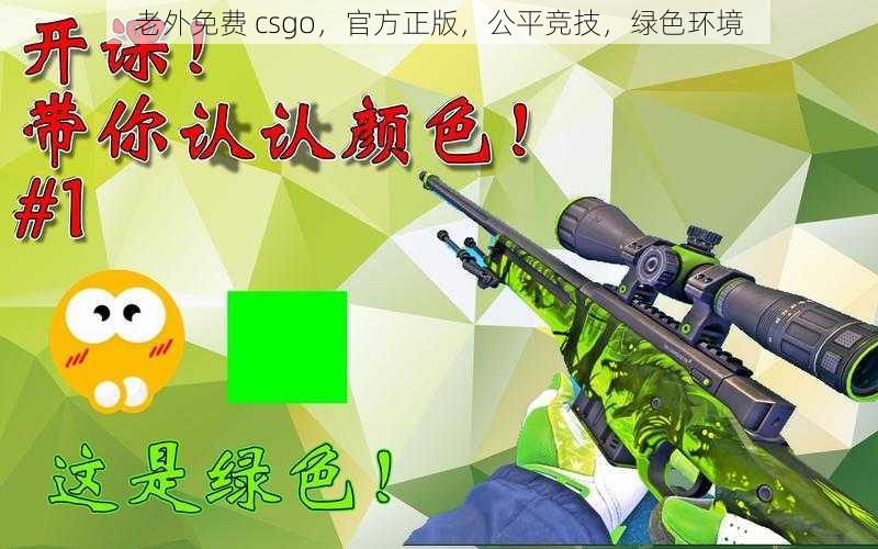 老外免费 csgo，官方正版，公平竞技，绿色环境