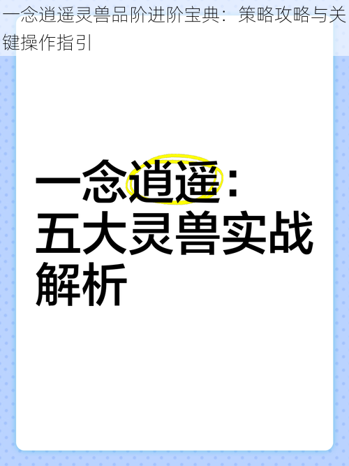 一念逍遥灵兽品阶进阶宝典：策略攻略与关键操作指引