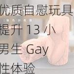 优质自慰玩具，提升 13 小男生 Gay 性体验