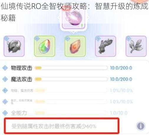 仙境传说RO全智牧师攻略：智慧升级的炼成秘籍