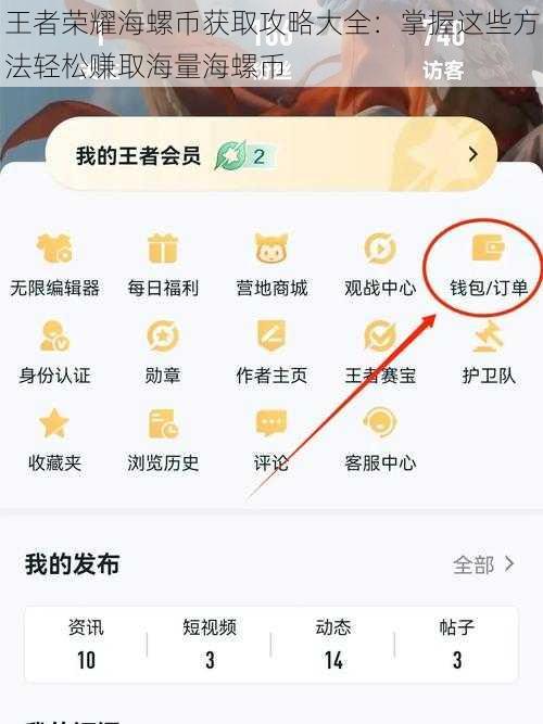 王者荣耀海螺币获取攻略大全：掌握这些方法轻松赚取海量海螺币