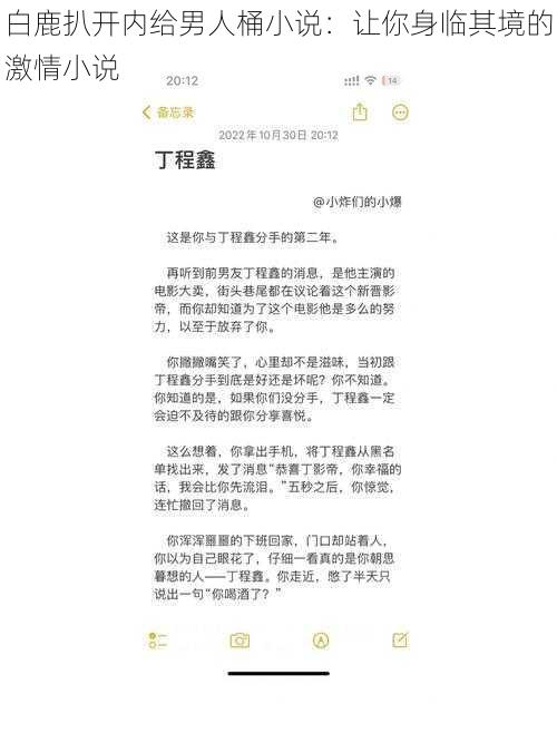 白鹿扒开内给男人桶小说：让你身临其境的激情小说