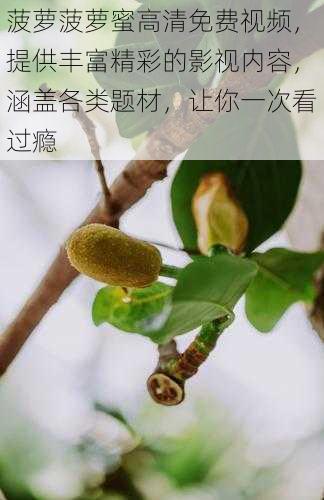 菠萝菠萝蜜高清免费视频，提供丰富精彩的影视内容，涵盖各类题材，让你一次看过瘾