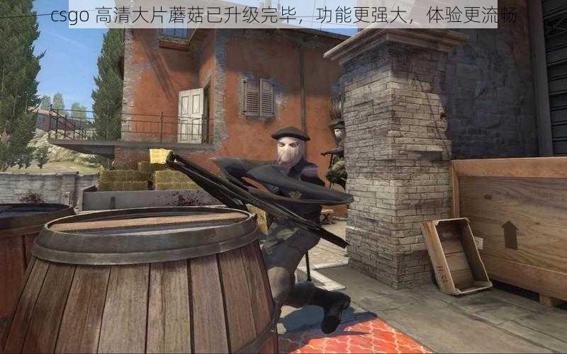 csgo 高清大片蘑菇已升级完毕，功能更强大，体验更流畅