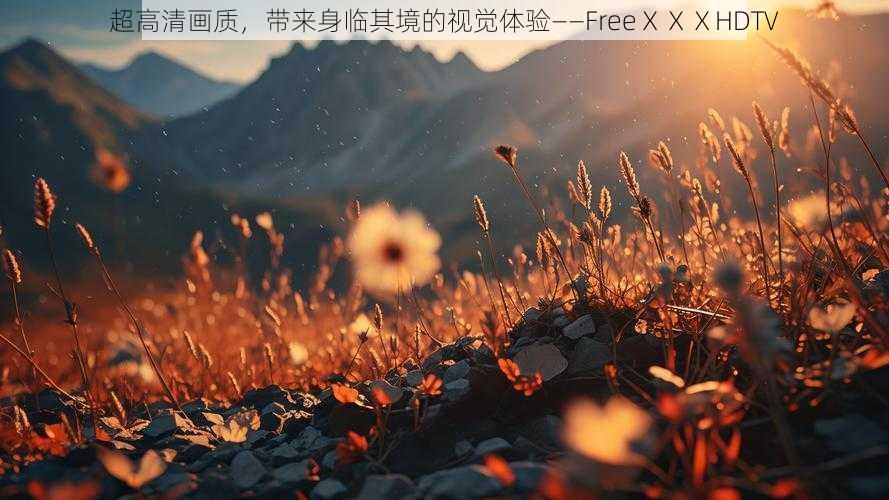 超高清画质，带来身临其境的视觉体验——FreeⅩⅩⅩHDT∨