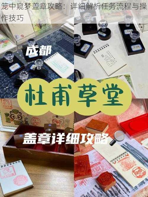 笼中窥梦盖章攻略：详细解析任务流程与操作技巧