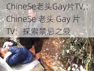 ChineSe老头Gay片TV,：ChineSe 老头 Gay 片 TV：探索禁忌之爱