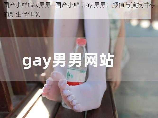 国产小鲜Gay男男—国产小鲜 Gay 男男：颜值与演技并存的新生代偶像