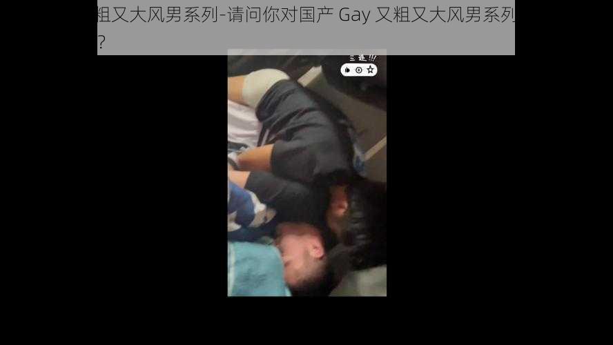 国产Gay又粗又大风男系列-请问你对国产 Gay 又粗又大风男系列的哪方面内容感兴趣呢？