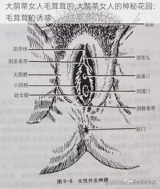 大荫蒂女人毛茸茸的,大荫蒂女人的神秘花园：毛茸茸的诱惑