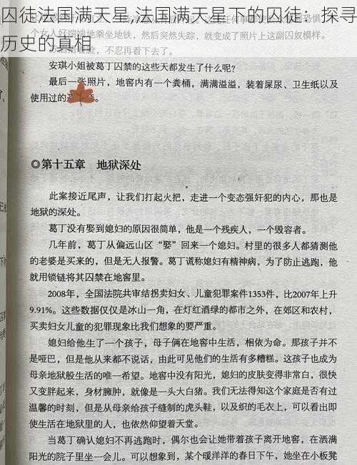 囚徒法国满天星,法国满天星下的囚徒：探寻历史的真相