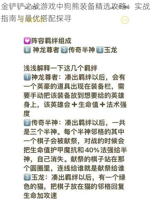 金铲铲之战游戏中狗熊装备精选攻略：实战指南与最优搭配探寻