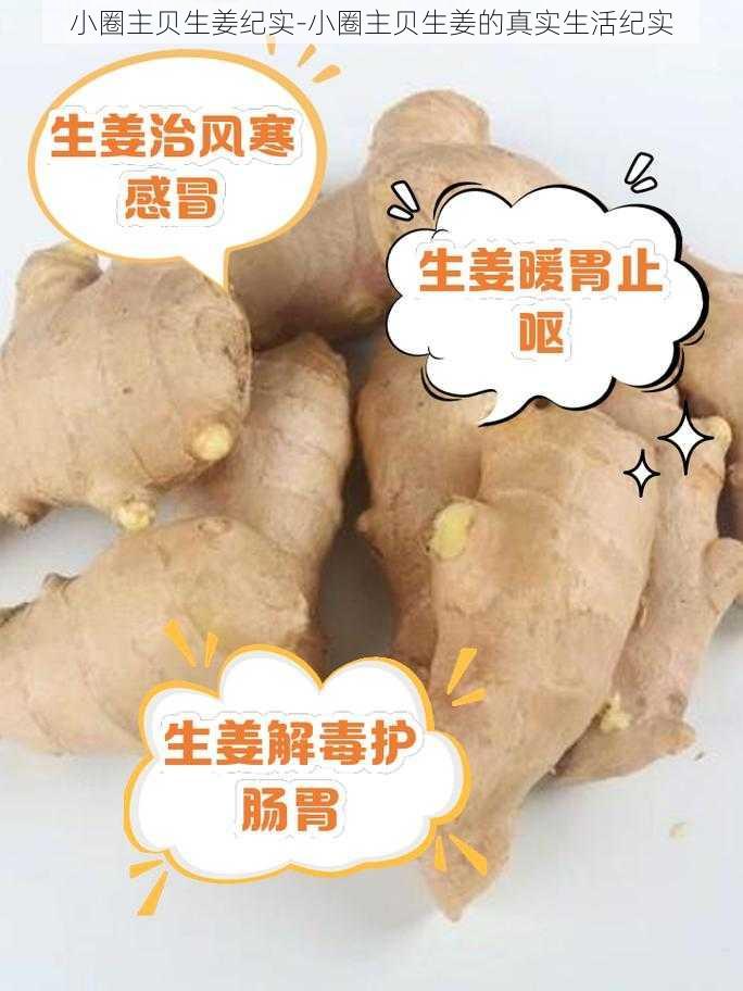 小圈主贝生姜纪实-小圈主贝生姜的真实生活纪实