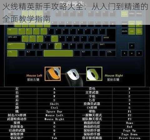 火线精英新手攻略大全：从入门到精通的全面教学指南