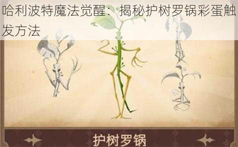 哈利波特魔法觉醒：揭秘护树罗锅彩蛋触发方法