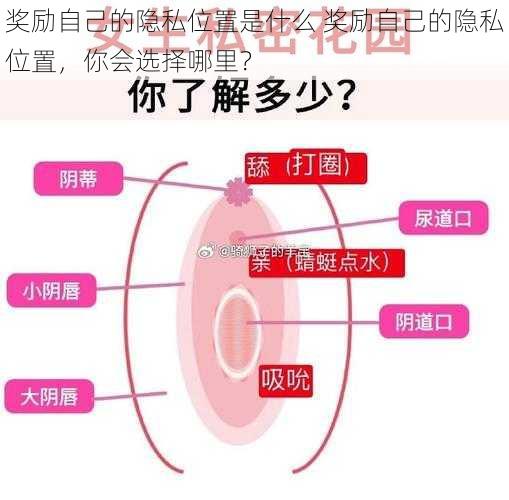 奖励自己的隐私位置是什么 奖励自己的隐私位置，你会选择哪里？