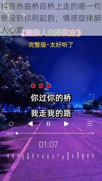 抖音热曲桥段桥上走的哪一句我没到你别起韵，情感旋律醉人心扉