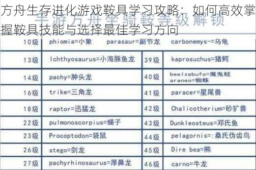 方舟生存进化游戏鞍具学习攻略：如何高效掌握鞍具技能与选择最佳学习方向