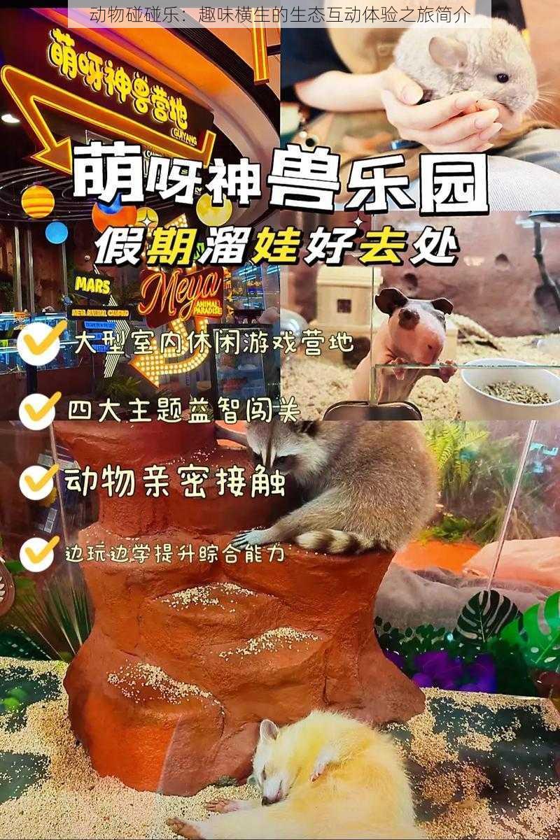 动物碰碰乐：趣味横生的生态互动体验之旅简介