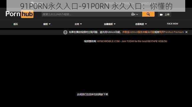 91P0RN永久入口-91P0RN 永久入口：你懂的