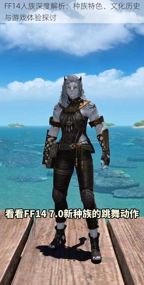 FF14人族深度解析：种族特色、文化历史与游戏体验探讨