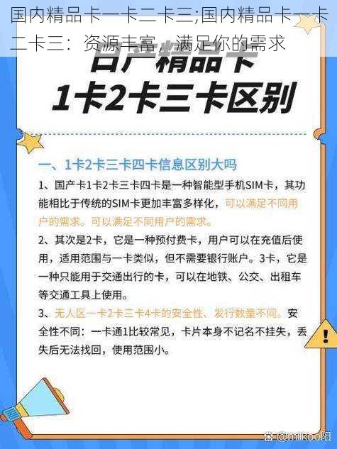 国内精品卡一卡二卡三;国内精品卡一卡二卡三：资源丰富，满足你的需求