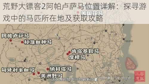 荒野大镖客2阿帕卢萨马位置详解：探寻游戏中的马匹所在地及获取攻略