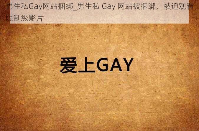 男生私Gay网站捆绑_男生私 Gay 网站被捆绑，被迫观看限制级影片