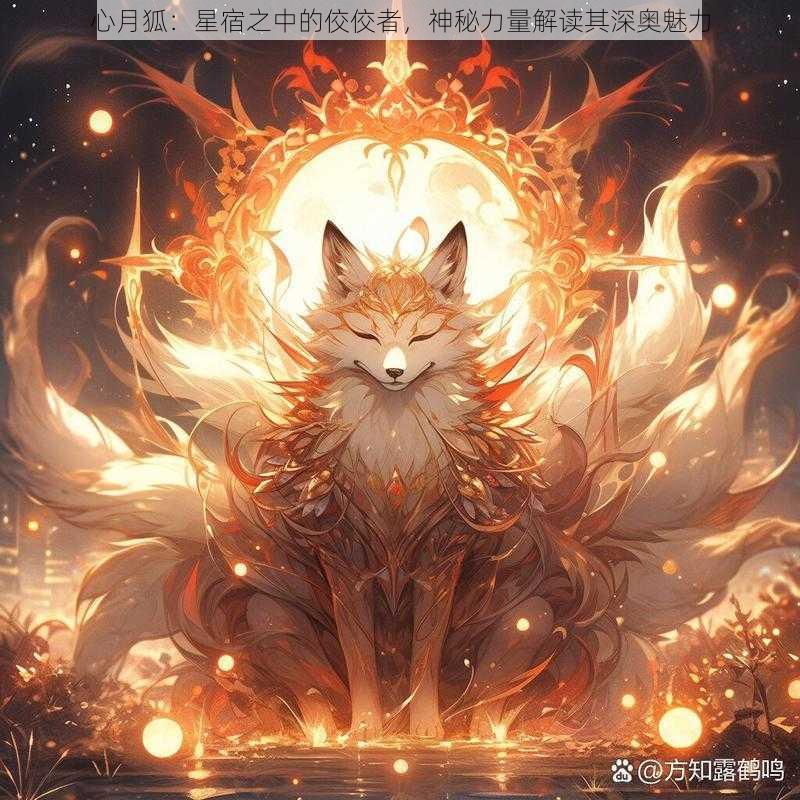 心月狐：星宿之中的佼佼者，神秘力量解读其深奥魅力