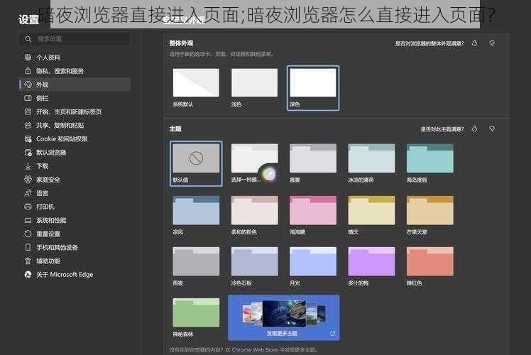 暗夜浏览器直接进入页面;暗夜浏览器怎么直接进入页面？
