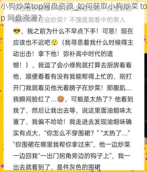 小狗炒菜top网盘资源_如何获取小狗炒菜 top 网盘资源？